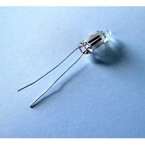 NumAxes Lampe Néon Test Pour Collier Canicalm – Image 2