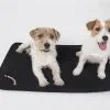 Back On Track Matelas De Cage Pour Chien 38 × 55 Cm