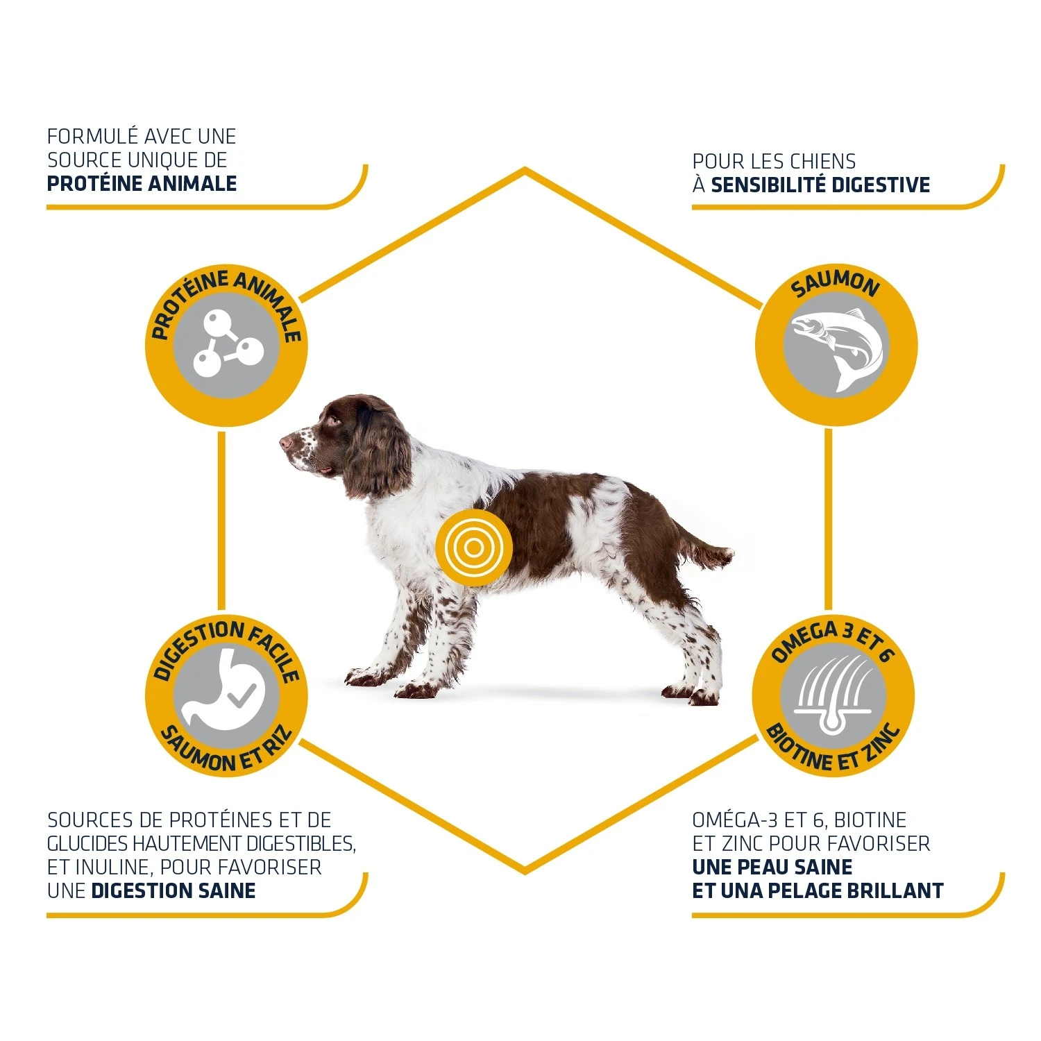 ADVANCE Sensitive Medium Maxi - Sensibilité Alimentaire – Image 2