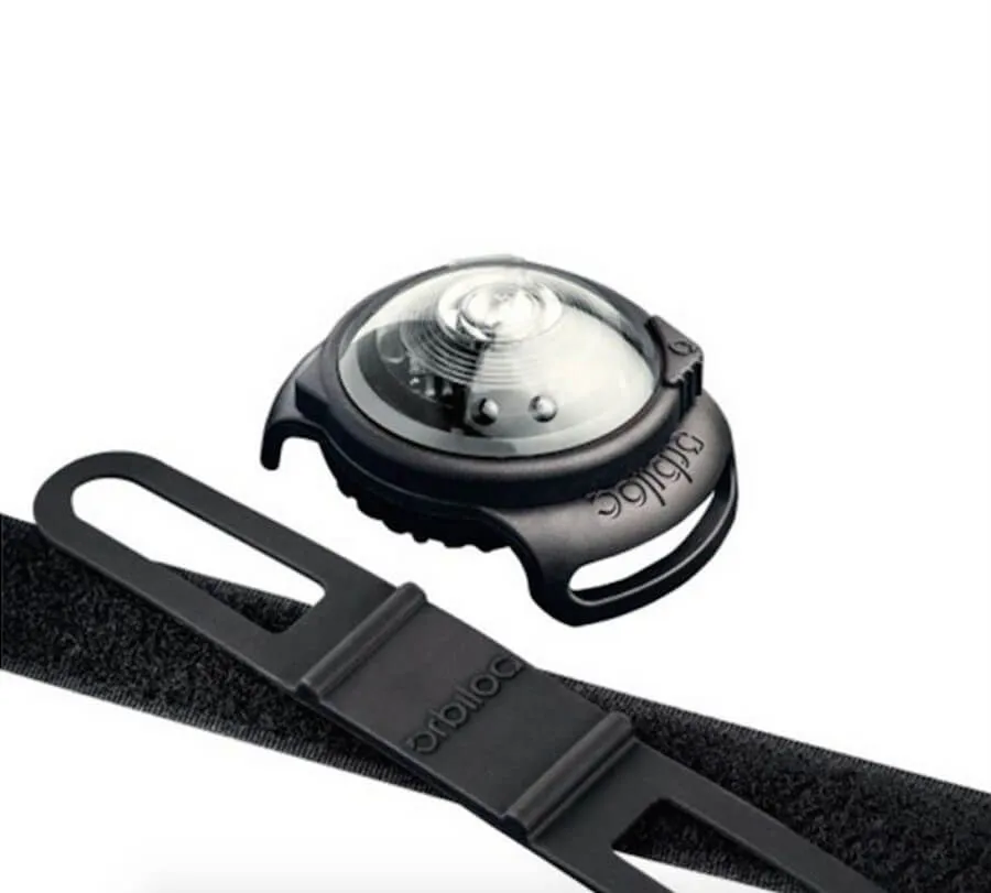 Orbiloc Collier Lumineux Blanc Pour Chien