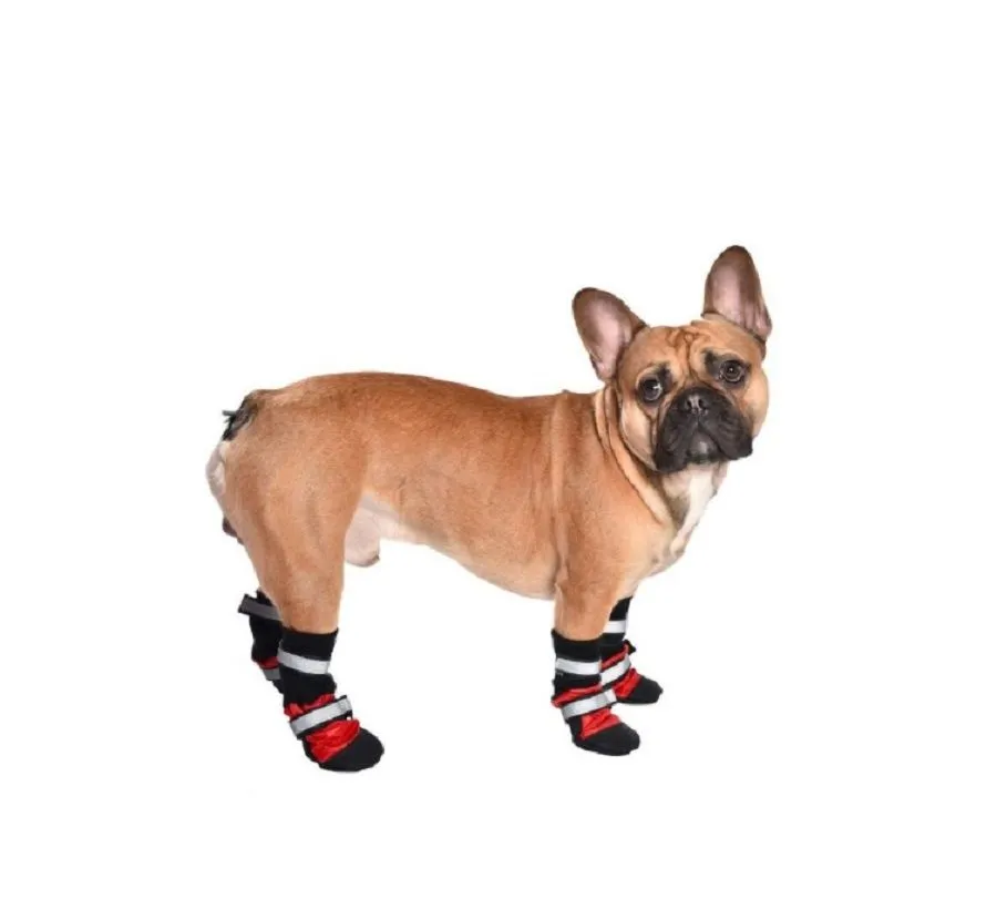 Bobby Chaussons De Sport Rouge Pour Chien XXL - Destockage – Image 2