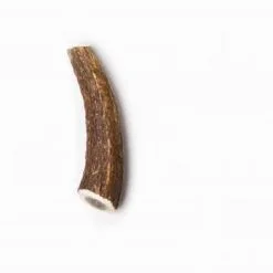 Evident Bois De Cerf Entier XS