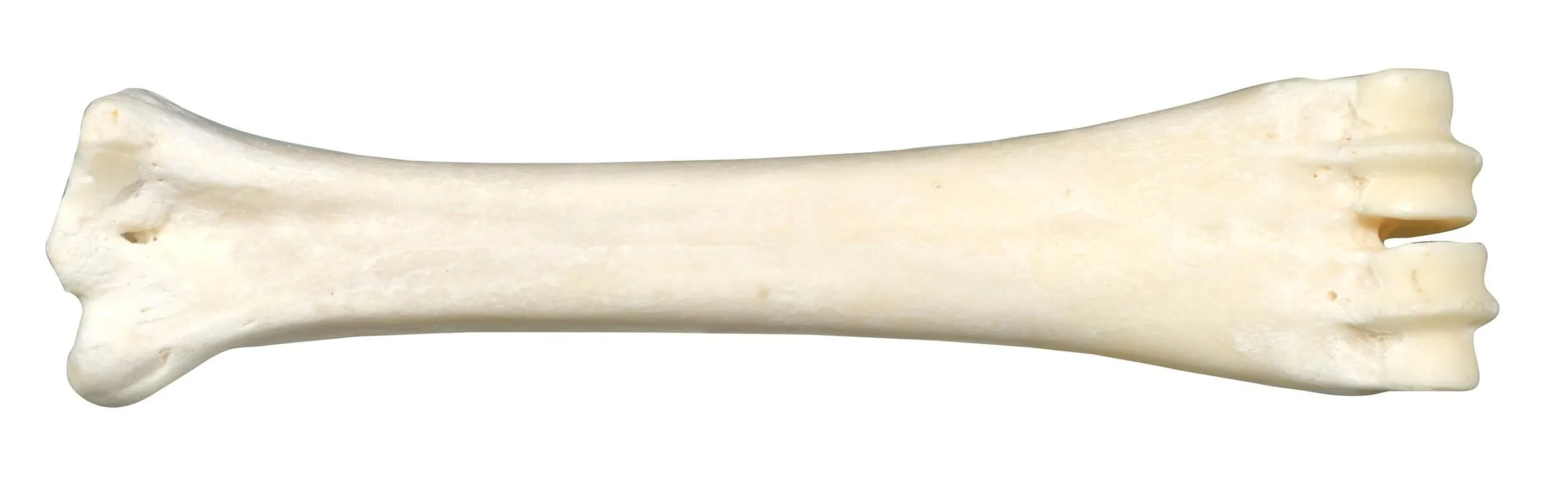 Bubimex Os Au Calcium 160 G