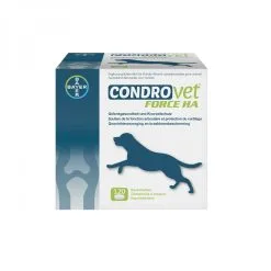 Condrovet Chien