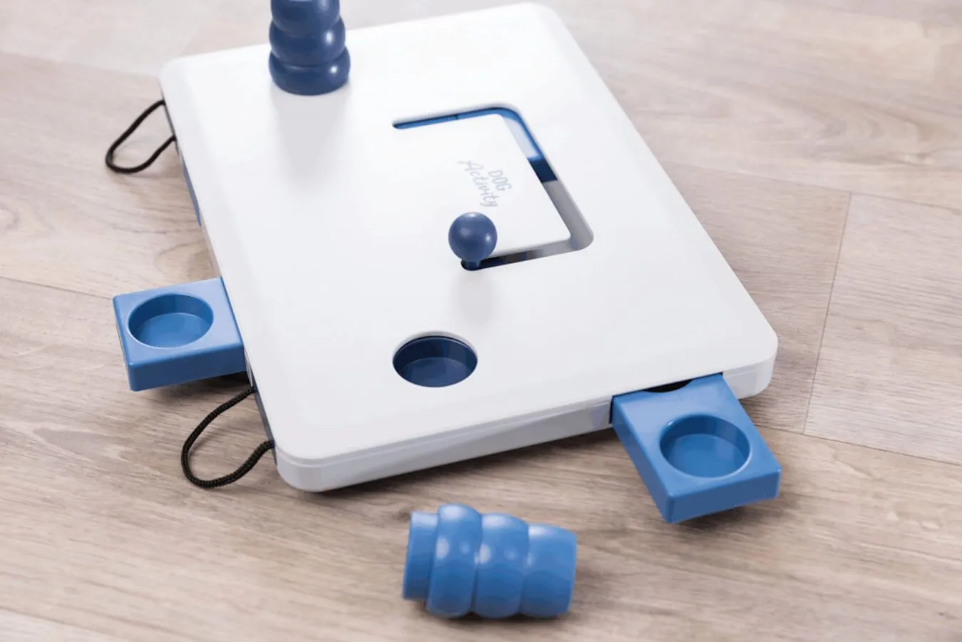 Dog Activity Move2Win – Image 2