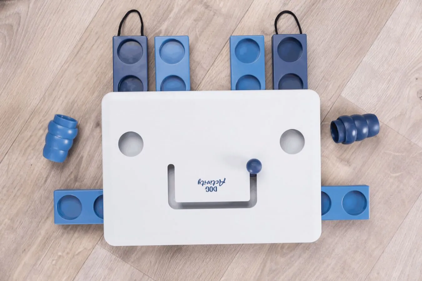 Dog Activity Move2Win – Image 3