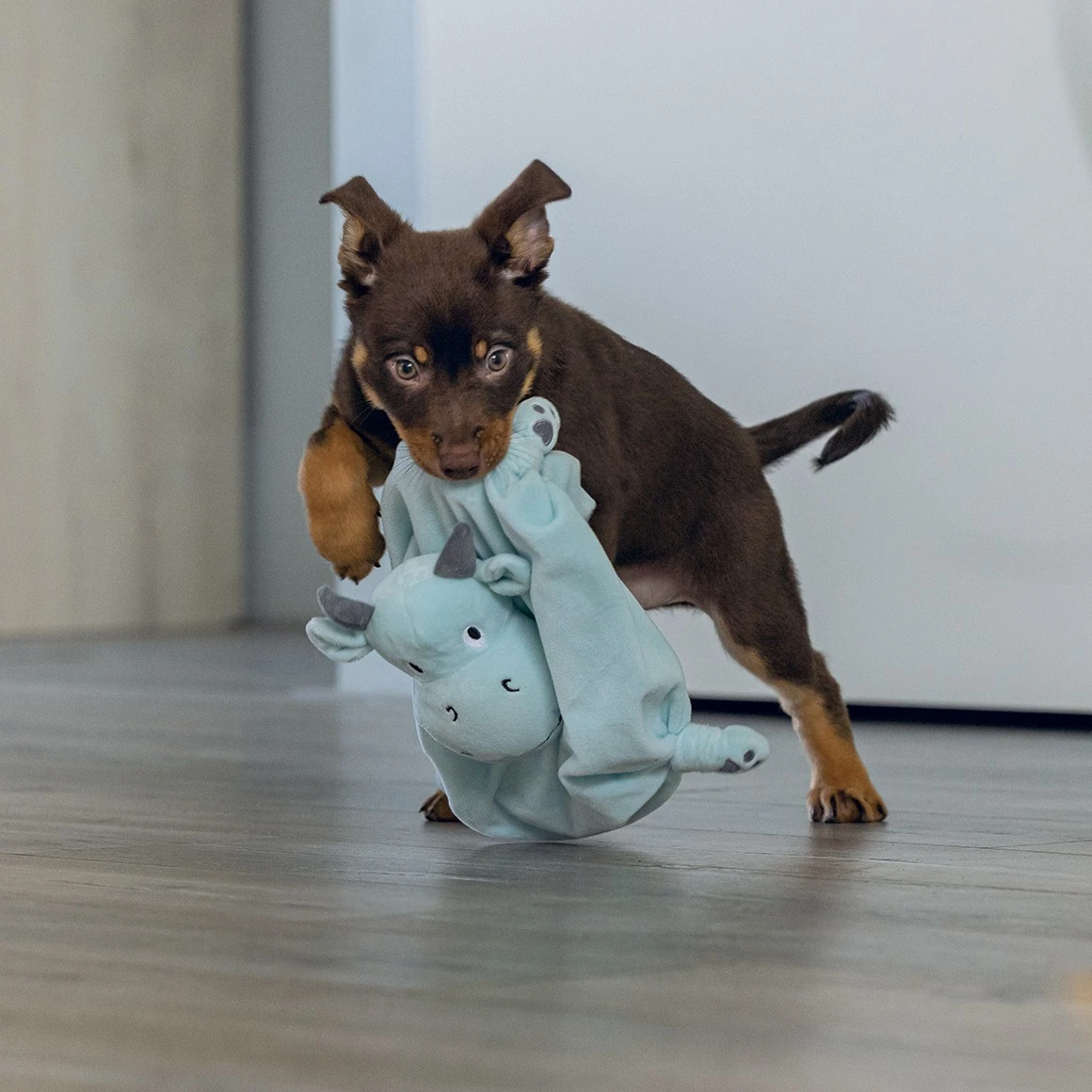 Beeztees Doudou Dragon – Image 3