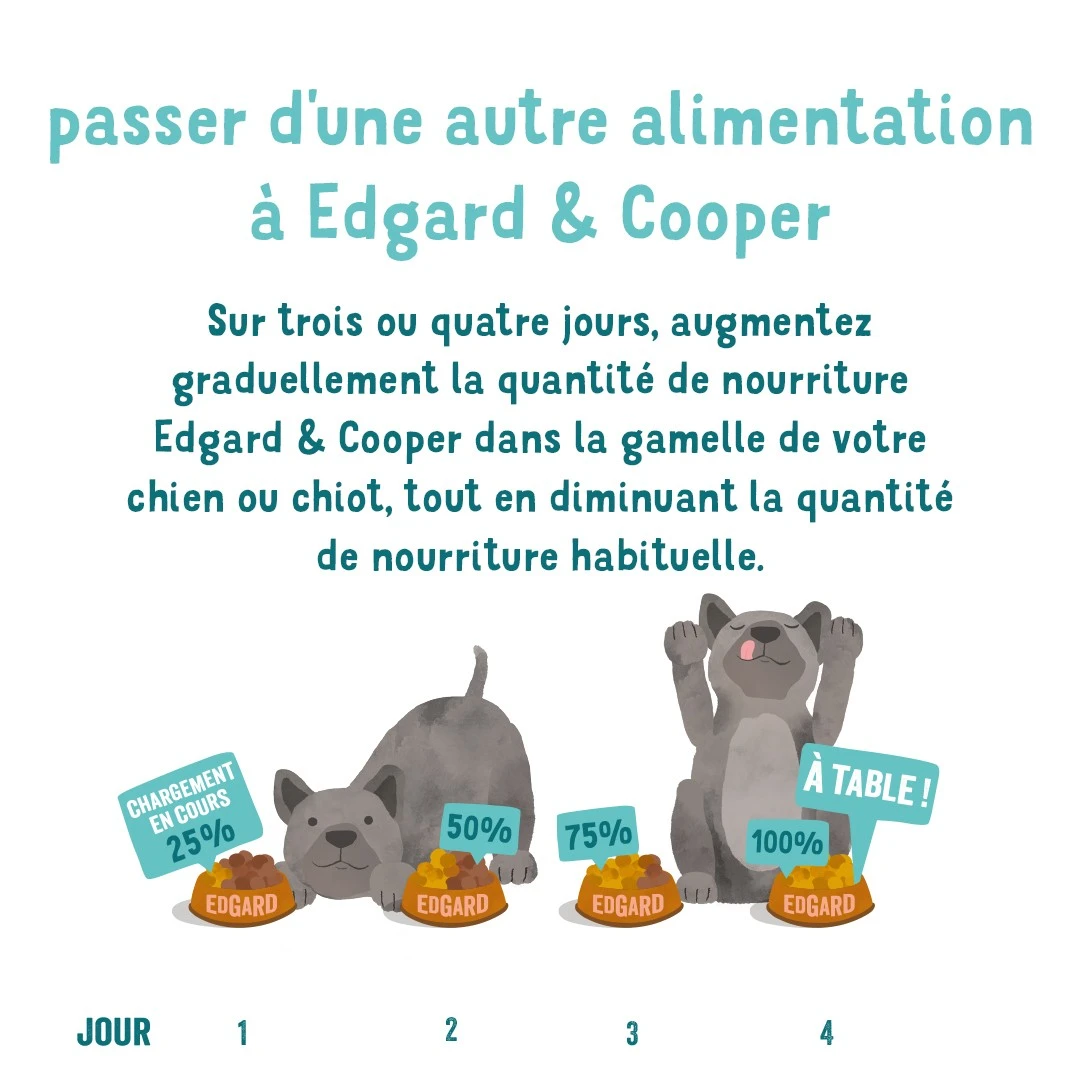 Edgard & Cooper, Brillant Saumon Et Dinde Pour Chiot – Image 7