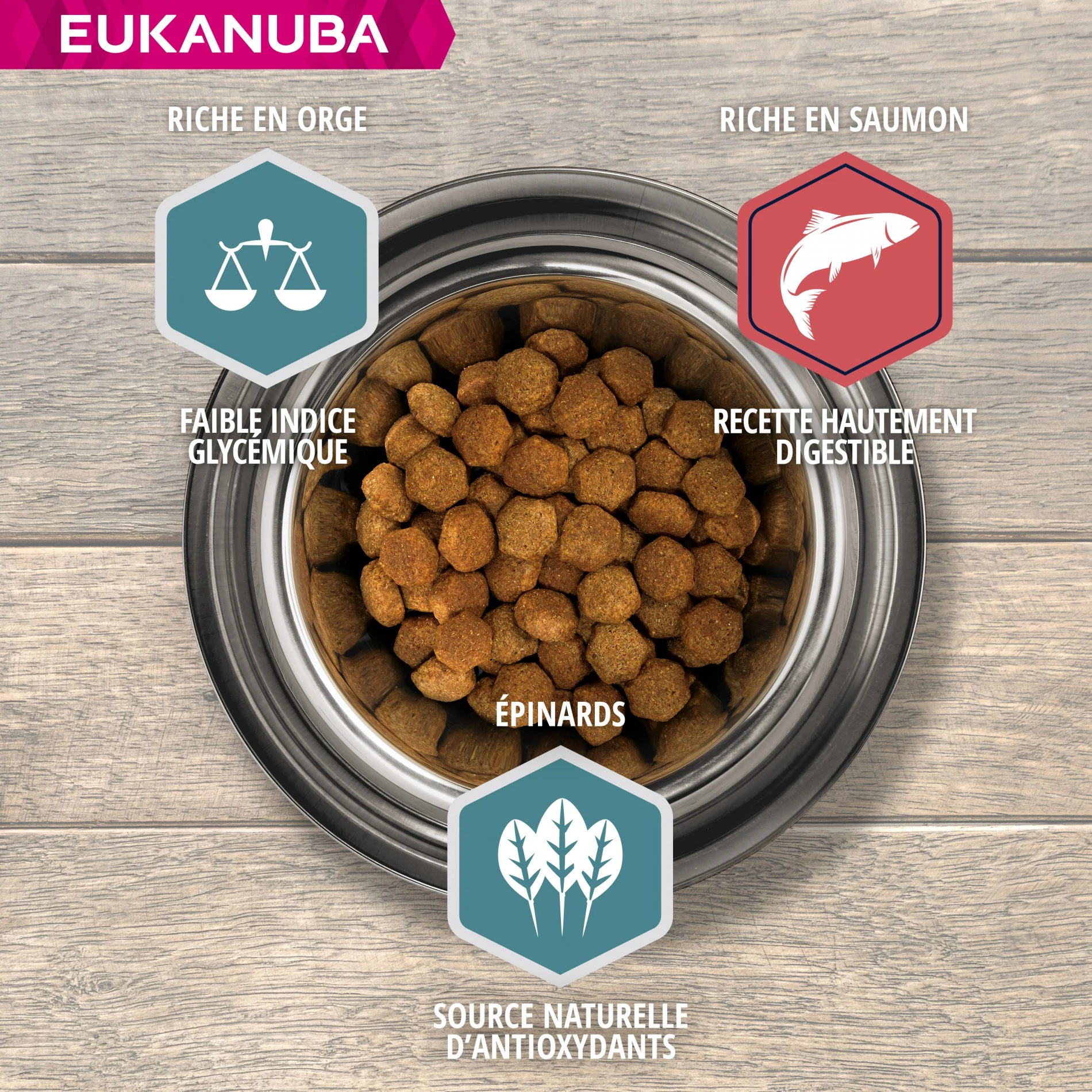 Eukanuba Adulte Large Breed - Saumon Et Orge – Image 2