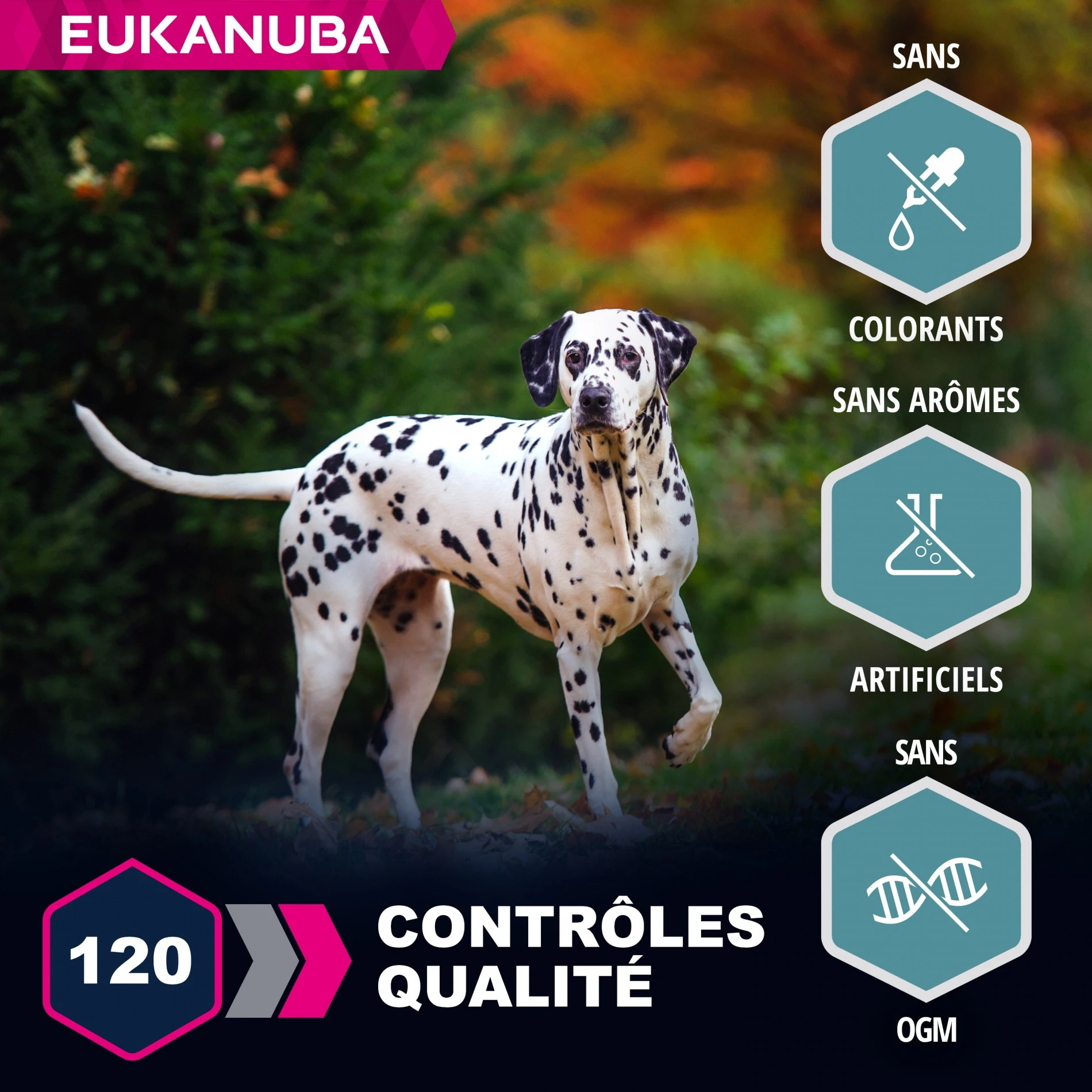Eukanuba Adulte Large Breed - Saumon Et Orge – Image 3