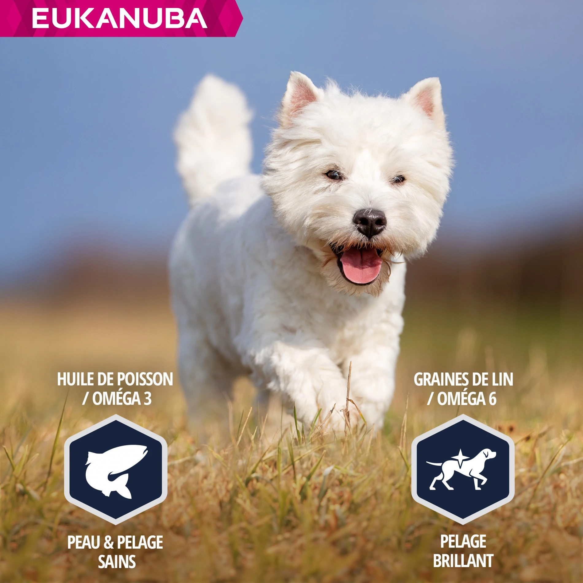 Eukanuba Breed Specific West Highland White Terriers – Image 6