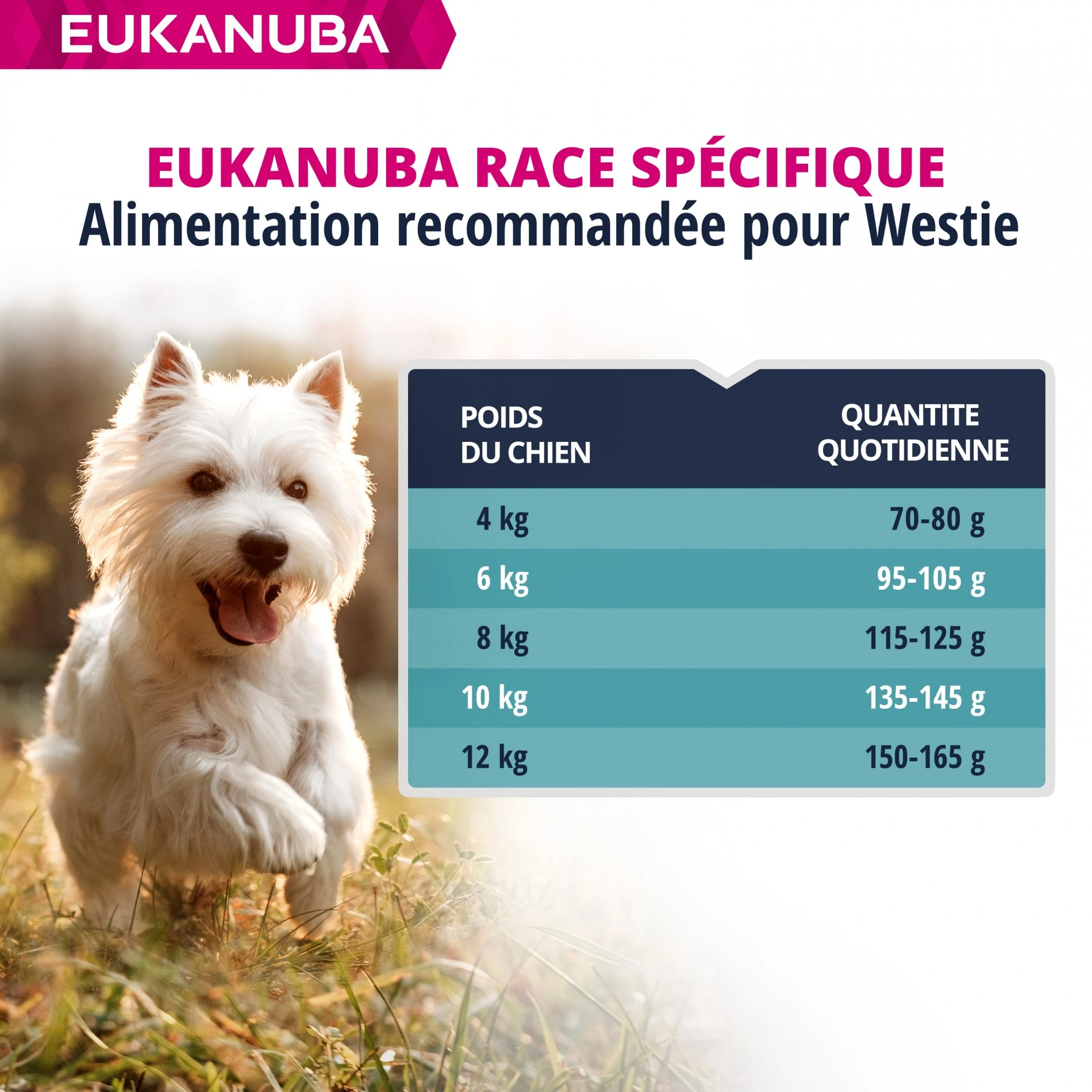 Eukanuba Breed Specific West Highland White Terriers – Image 7