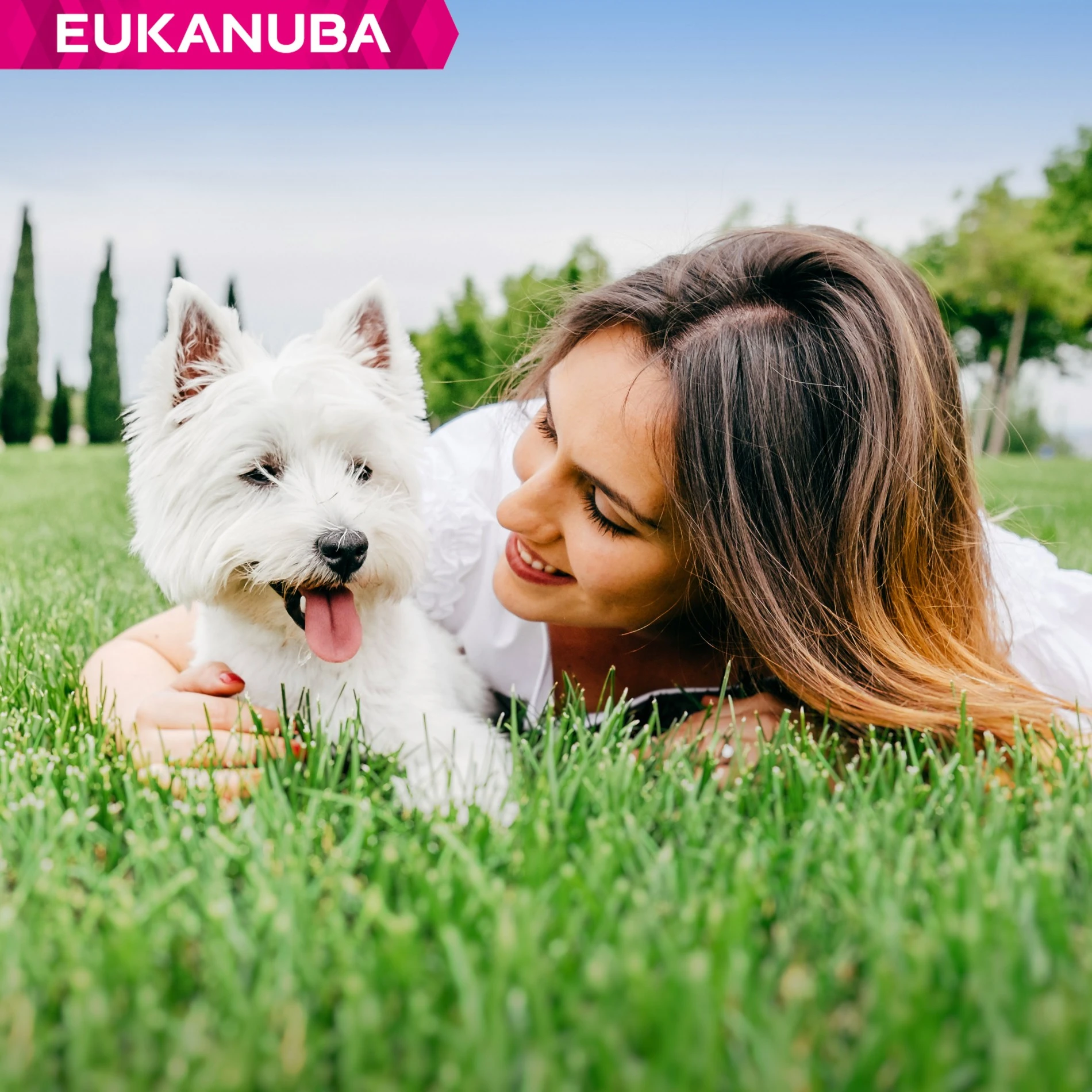 Eukanuba Breed Specific West Highland White Terriers – Image 9