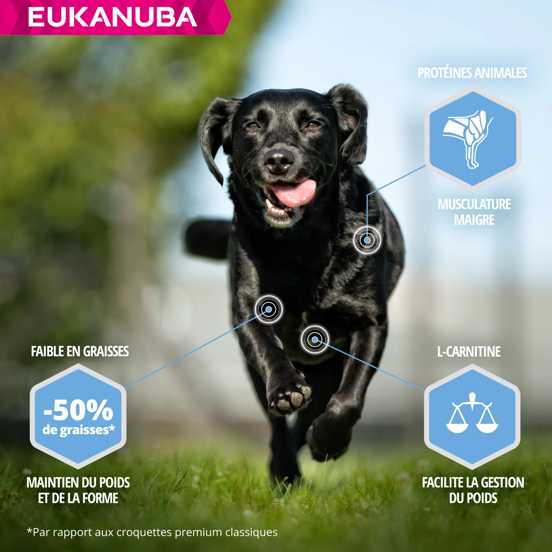 Eukanuba Daily Care Weight Control Large Breed – Image 3