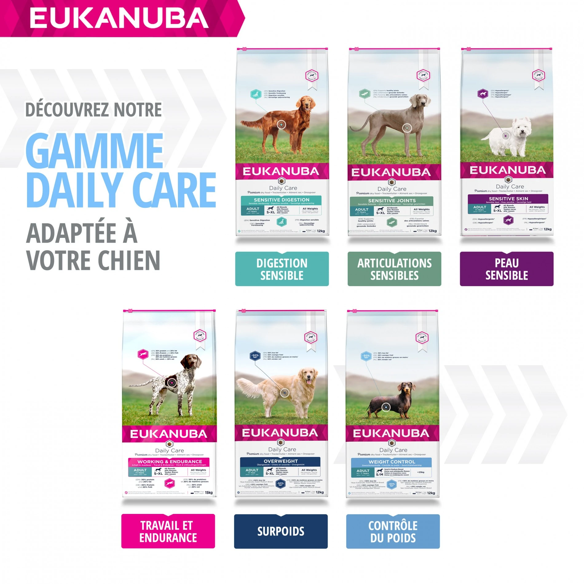 Eukanuba Daily Care Weight Control Large Breed – Image 7