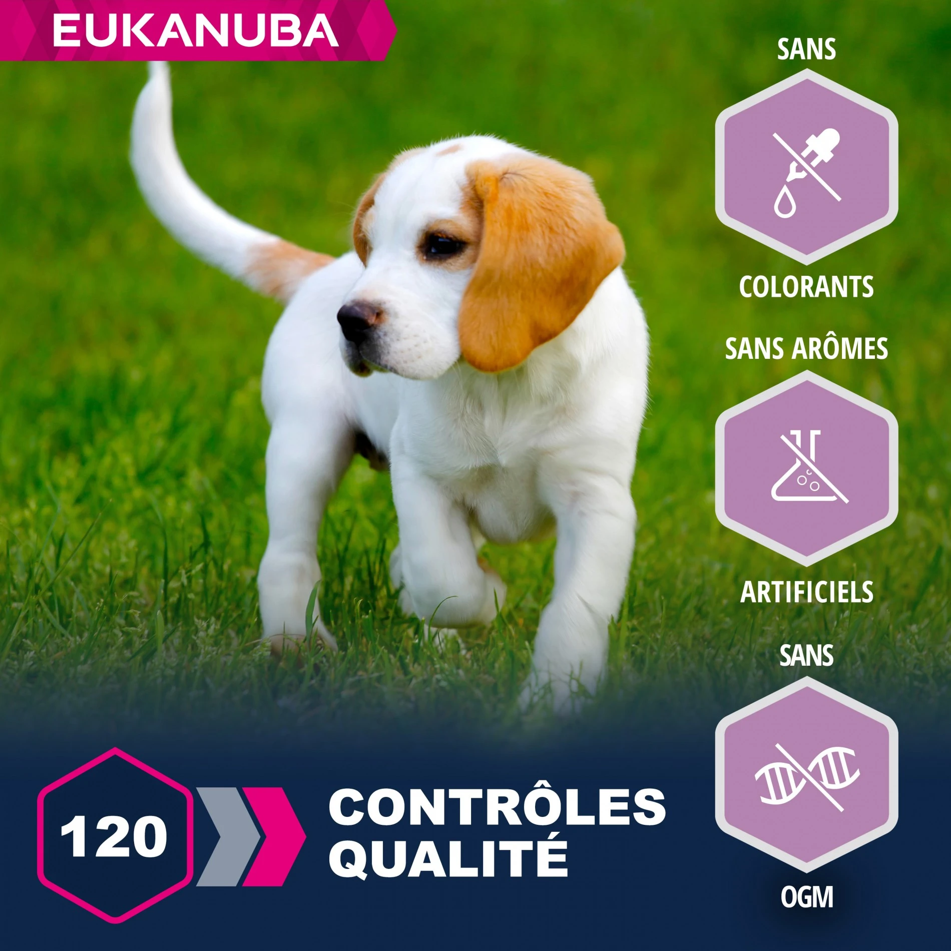 Eukanuba Puppy Small & Medium Breed - Agneau Et Riz – Image 3