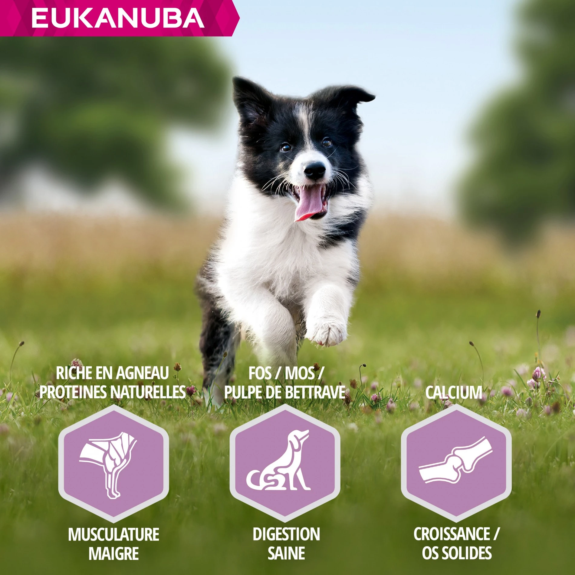Eukanuba Puppy Small & Medium Breed - Agneau Et Riz – Image 4