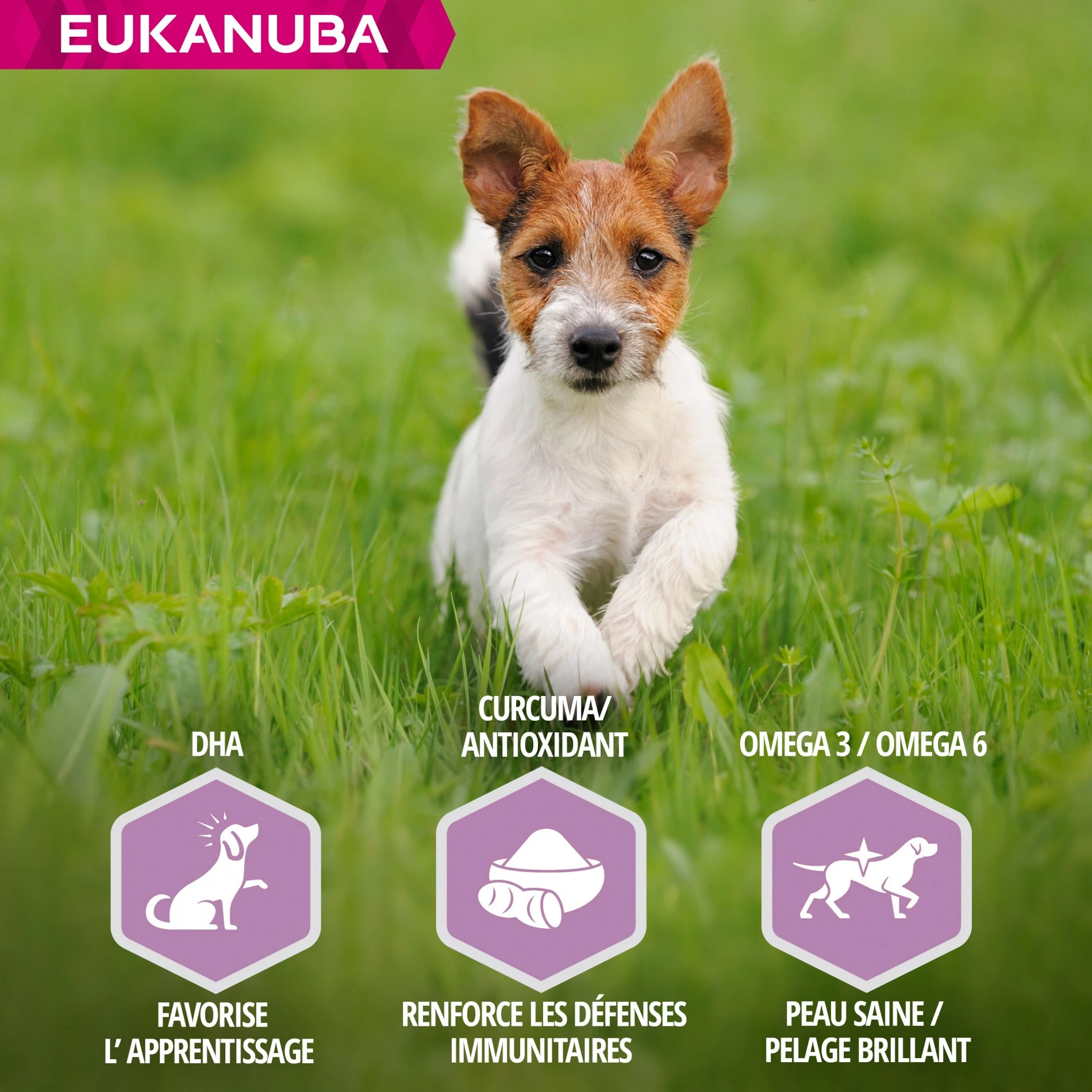Eukanuba Puppy Small & Medium Breed - Agneau Et Riz – Image 5