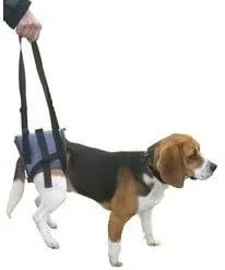 Harnais Handy Canis Pattes Arrières L