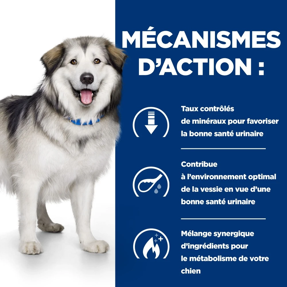 HILL'S Prescription Diet C/d Urinary Multicare + Metabolic - Croquettes Pour Chien – Image 6