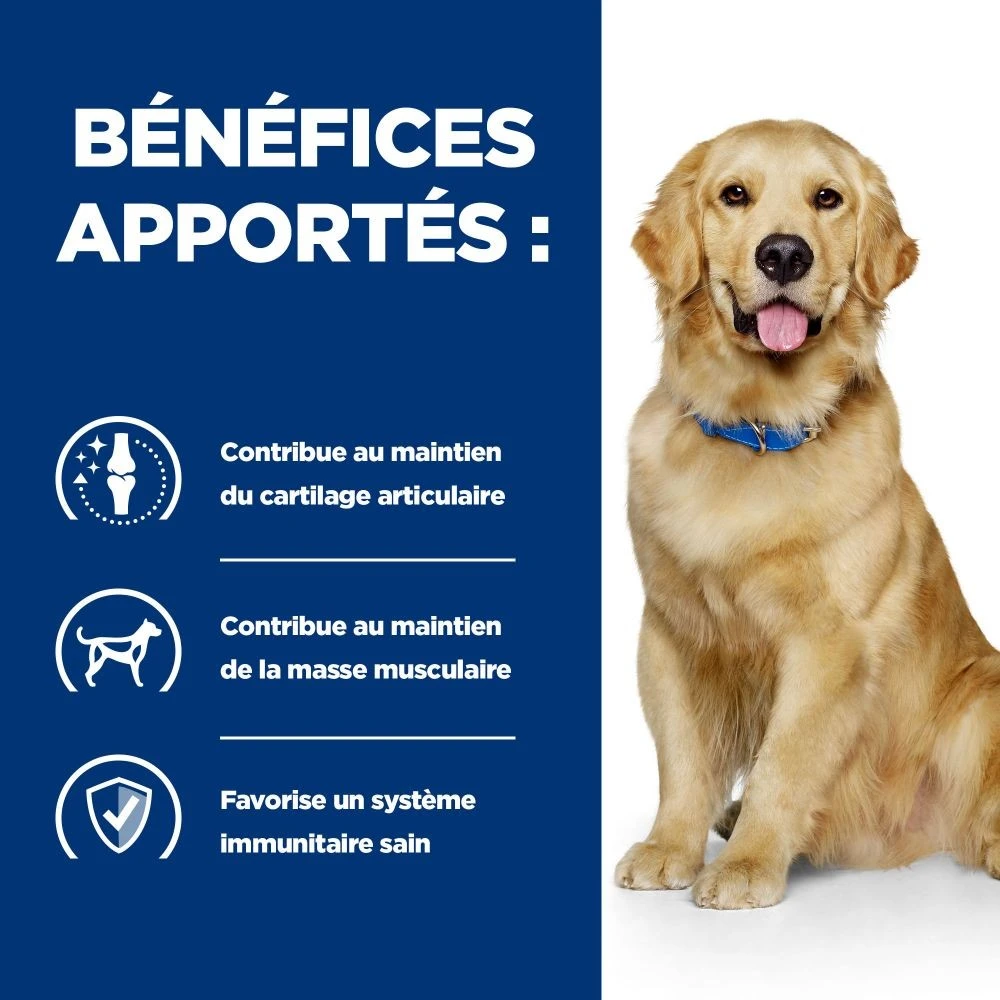 HiLL'S Prescription Diet J/d Mobility Reduced Carlorie Au Poulet - Croquettes Pour Chien – Image 4