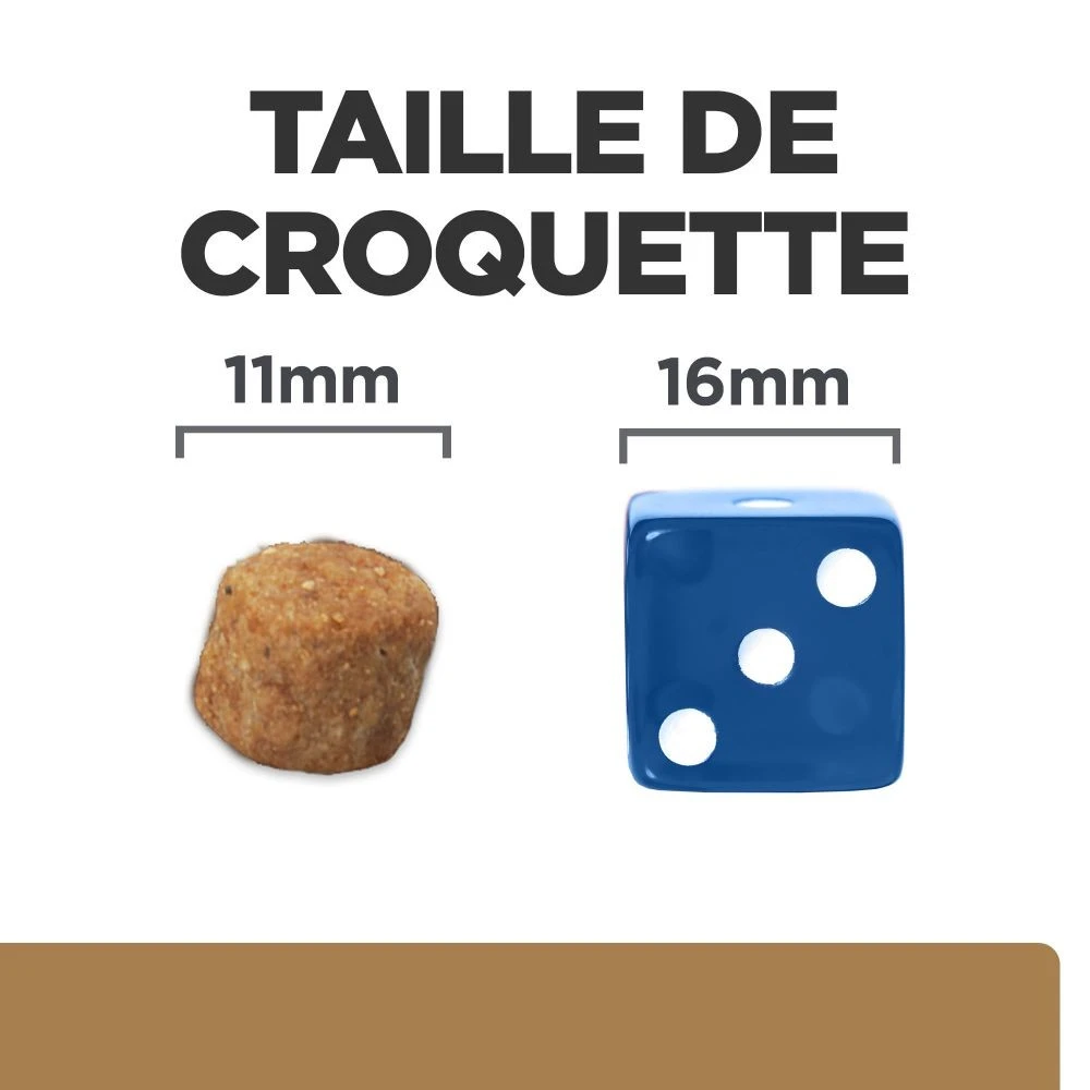 HiLL'S Prescription Diet J/d Mobility Reduced Carlorie Au Poulet - Croquettes Pour Chien – Image 6