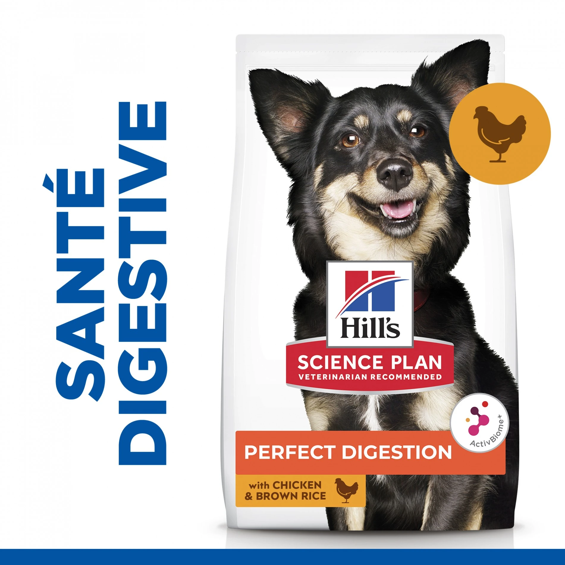 HILL'S Science Plan Perfect Digestion Small & Mini Adult Au Poulet - Croquettes Pour Chien – Image 4
