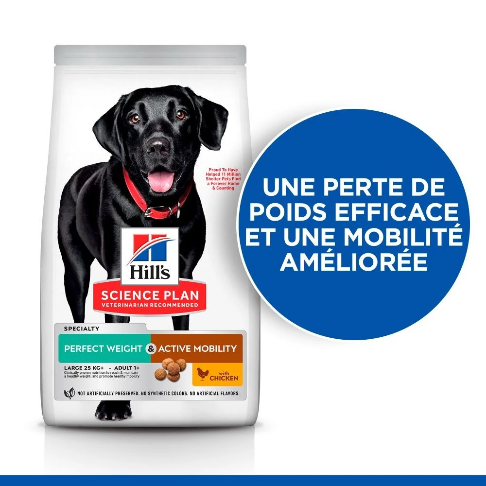 HILL'S Science Plan Perfect Weight & Active Mobility Large Adult Au Poulet - Croquettes Pour Chien – Image 2