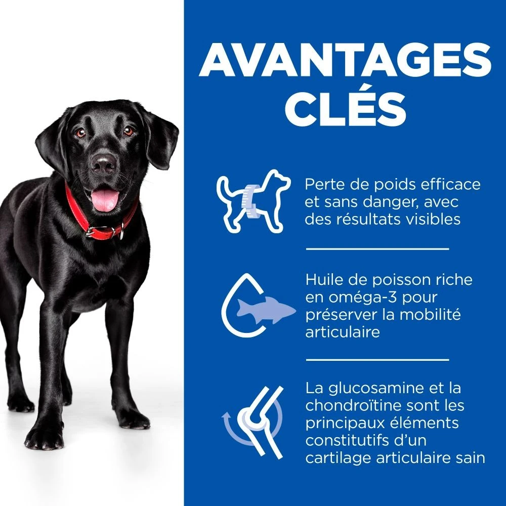HILL'S Science Plan Perfect Weight & Active Mobility Large Adult Au Poulet - Croquettes Pour Chien – Image 3