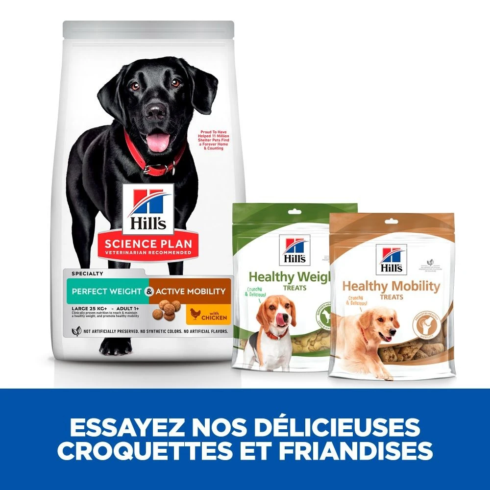 HILL'S Science Plan Perfect Weight & Active Mobility Large Adult Au Poulet - Croquettes Pour Chien – Image 4