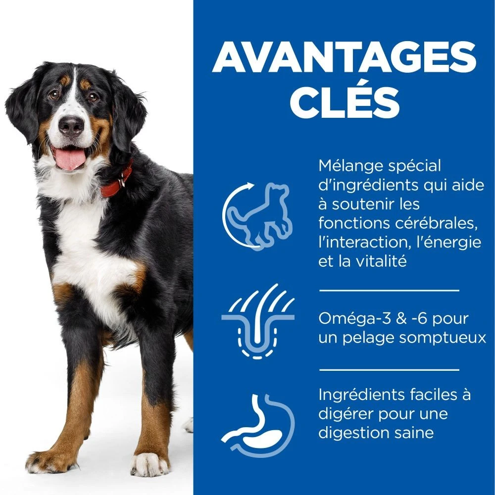 HILL'S Science Plan Senior Vitality Large Mature Adult 6+ Au Poulet - Croquettes Pour Chien – Image 3