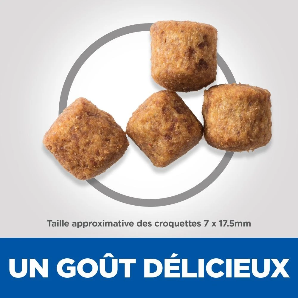 HILL'S Science Plan Senior Vitality Large Mature Adult 6+ Au Poulet - Croquettes Pour Chien – Image 4