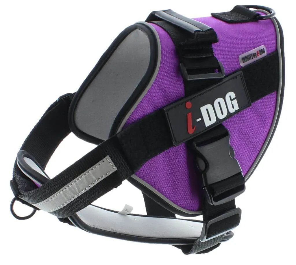 I-DOG Harnais NeoCITY Violet/Gris S