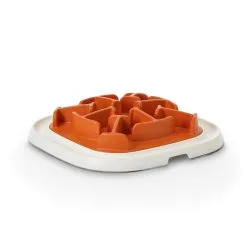 Savic Jouet éducatif Enigma - Niveau Débutant