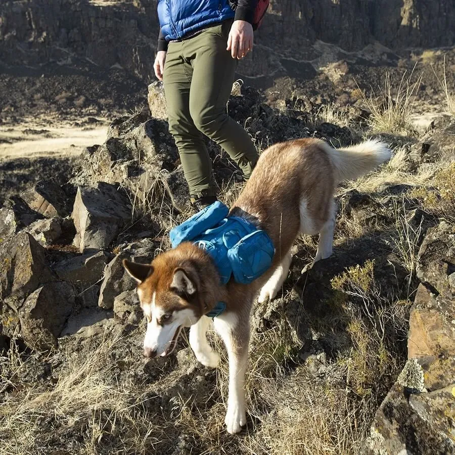 Kurgo Harnais RSG County Bleu Azur Pour Chien M – Image 3