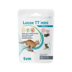 Locox TT Mini