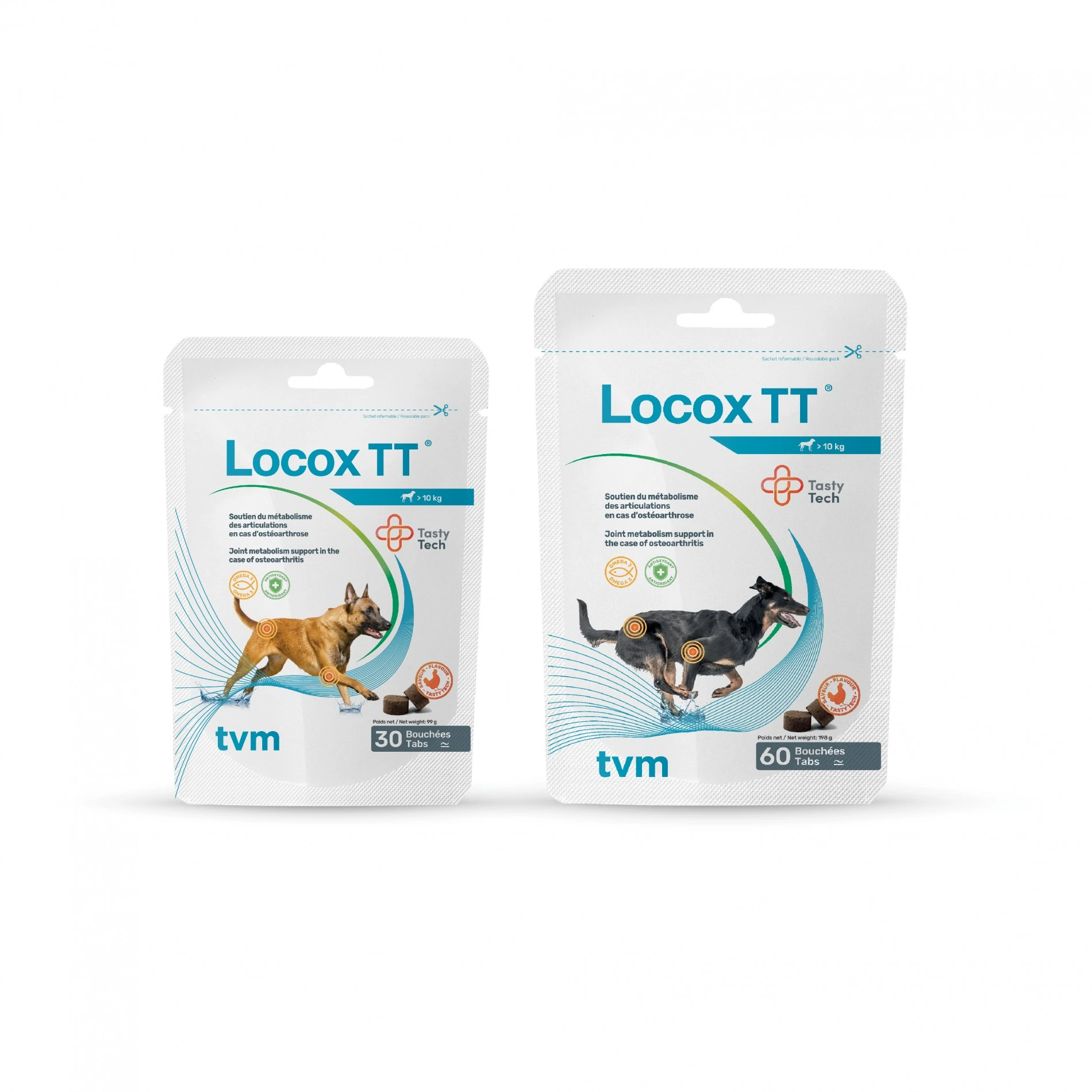 Locox TT – Image 2