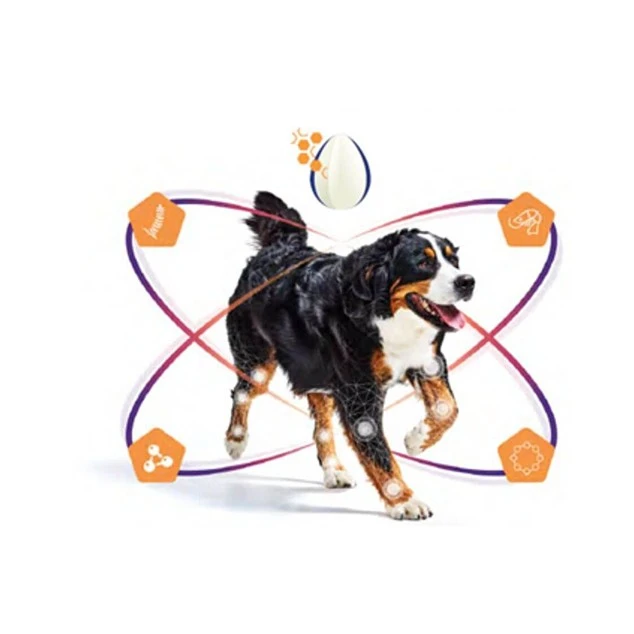 Virbac Movoflex – Image 4