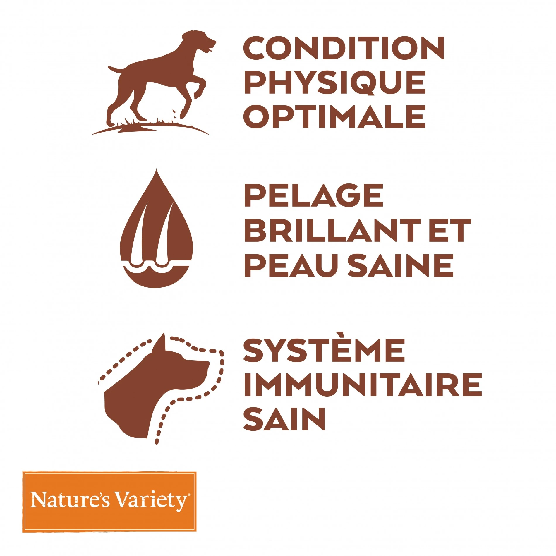 Nature's Variety Selected No Grain Medium Maxi Adult Saumon – Image 3