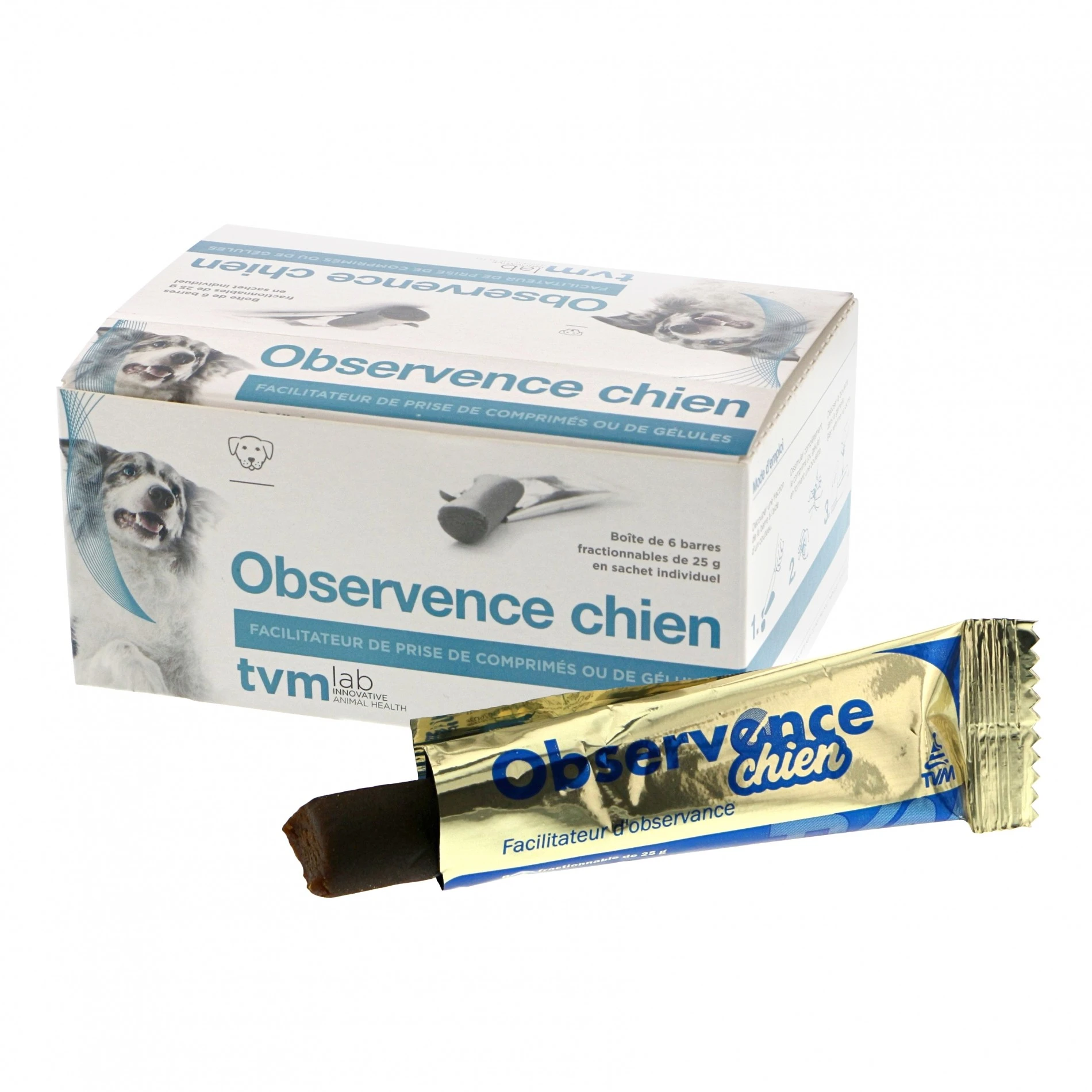 TVM Observence Chien