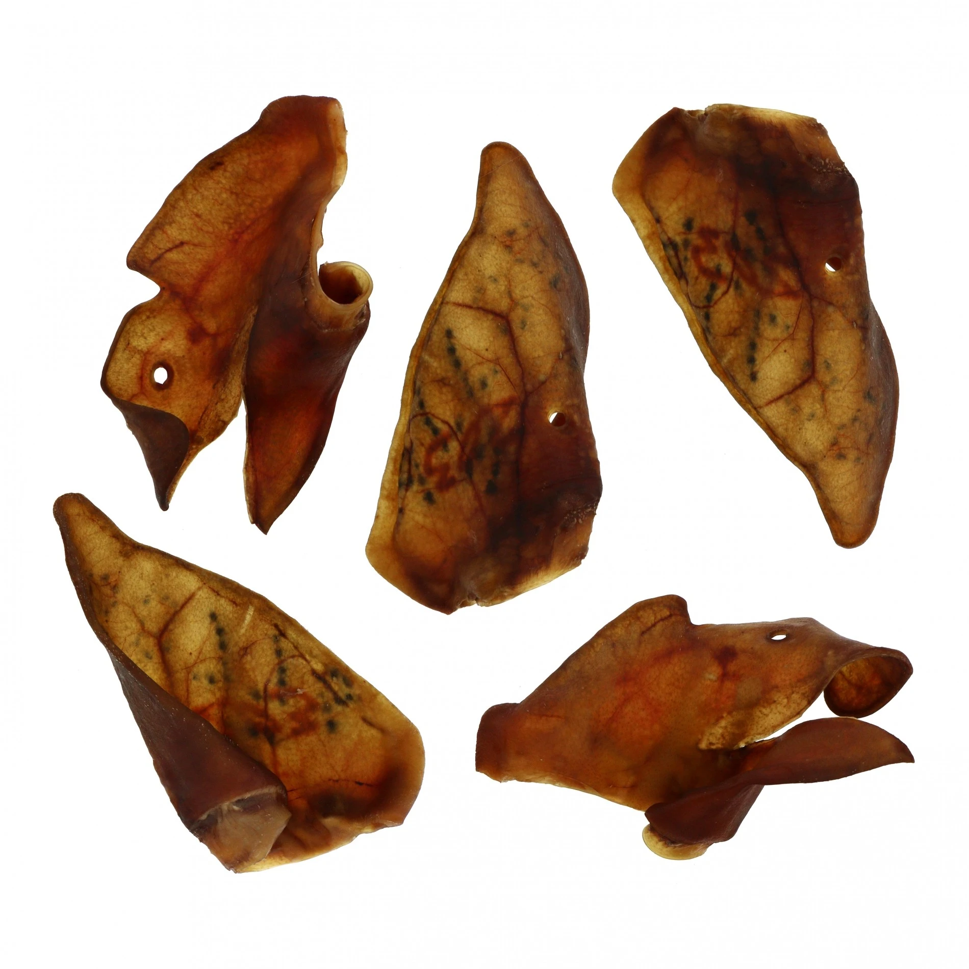 WOUAPY Oreilles De Porc XXL