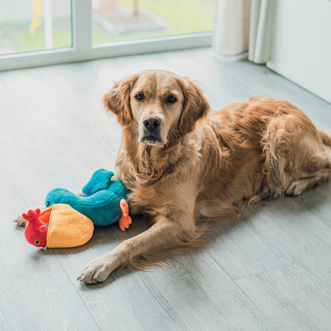 Beeztees Peluche Pélican – Image 2