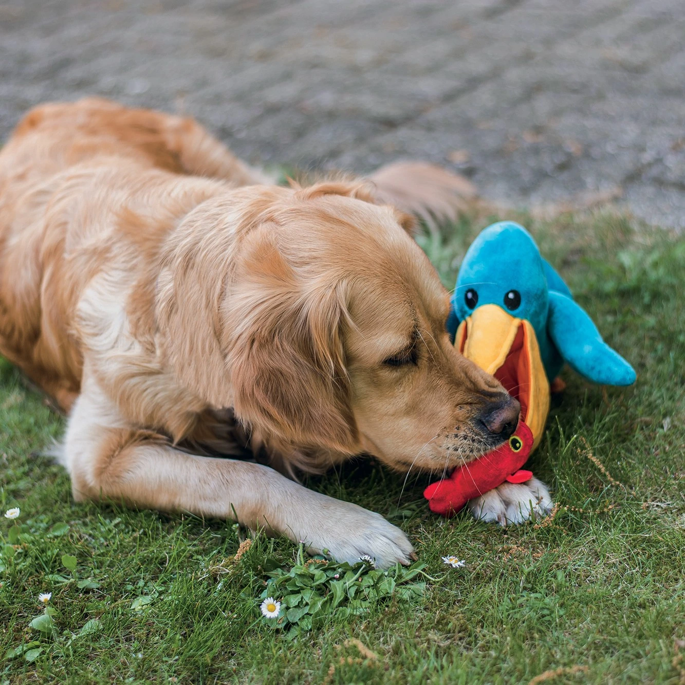 Beeztees Peluche Pélican – Image 3