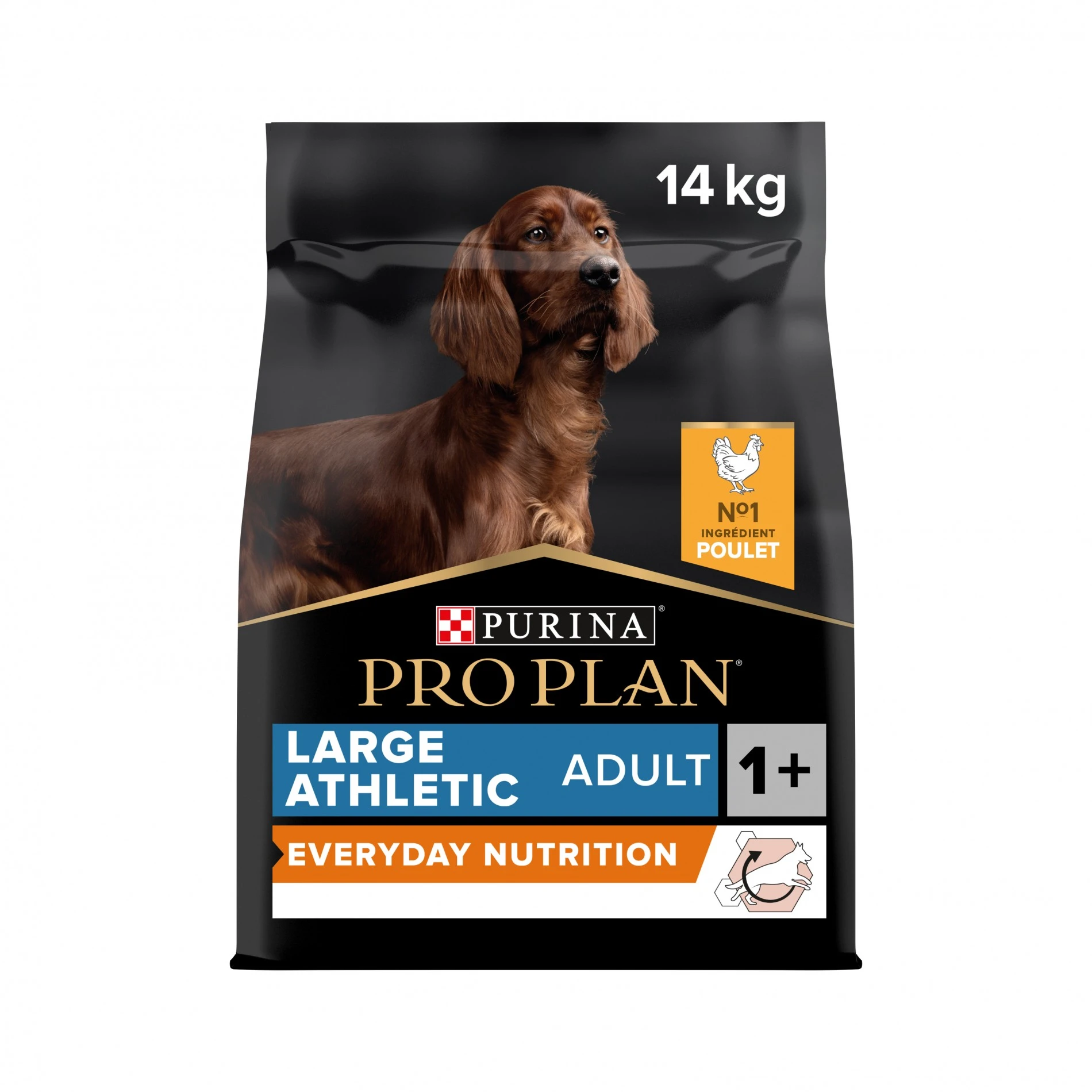 ProPlan PRO PLAN Everyday Nutrition Large Athletic Adult Au Poulet - Croquettes Pour Chien