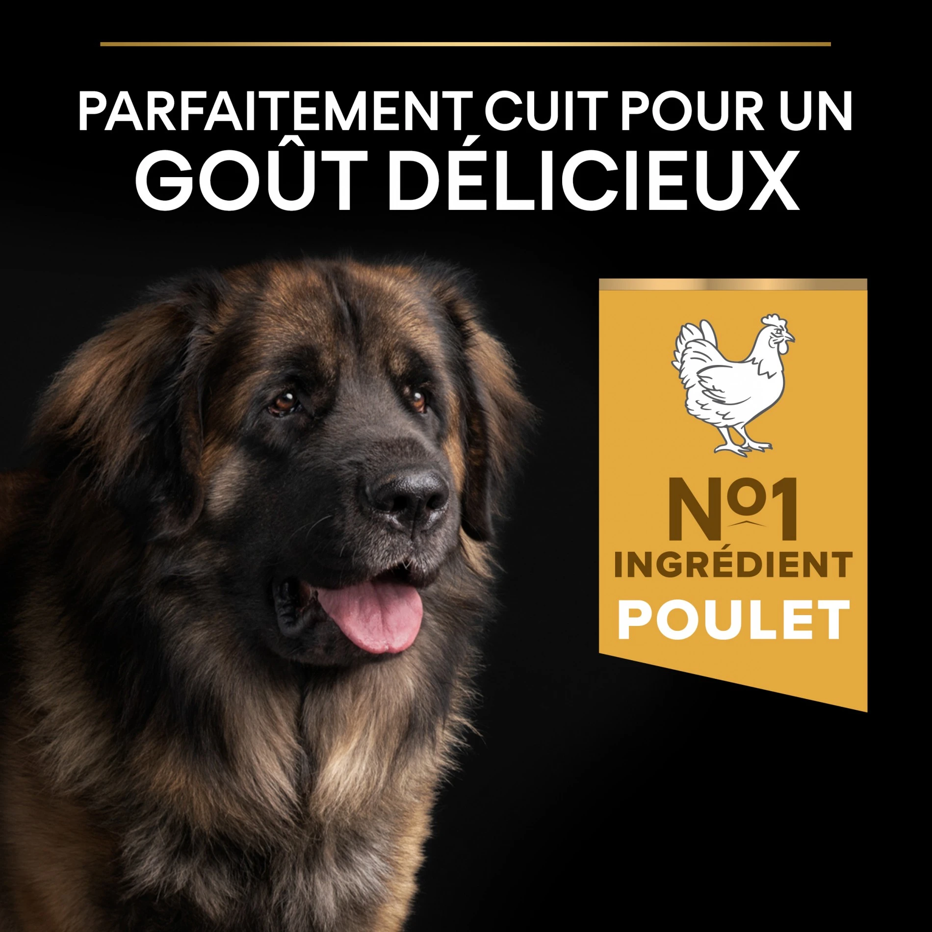 ProPlan PRO PLAN Everyday Nutrition Large Robust Adult Au Poulet - Croquettes Pour Chien – Image 4