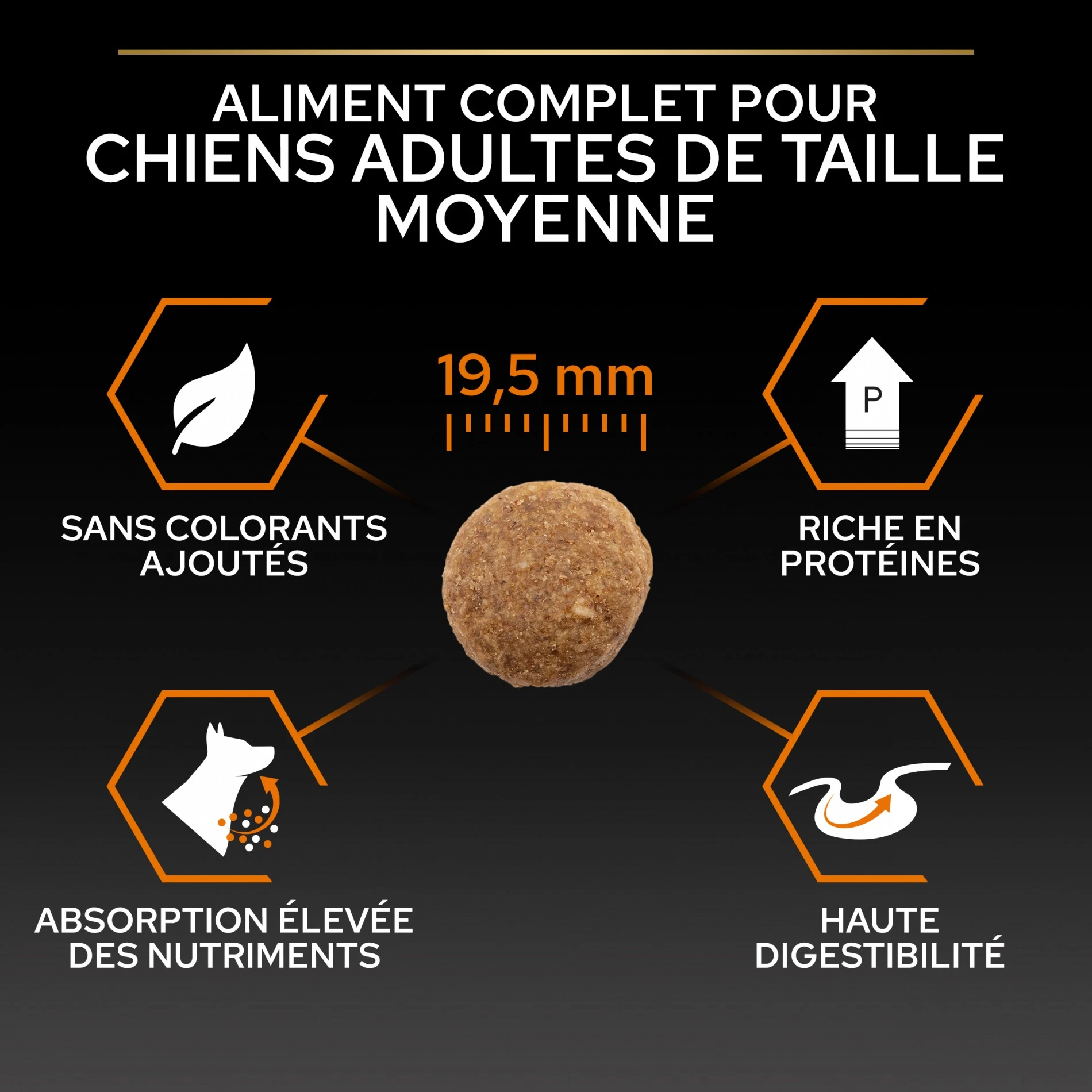 ProPlan PRO PLAN Everyday Nutrition Large Robust Adult Au Poulet - Croquettes Pour Chien – Image 5