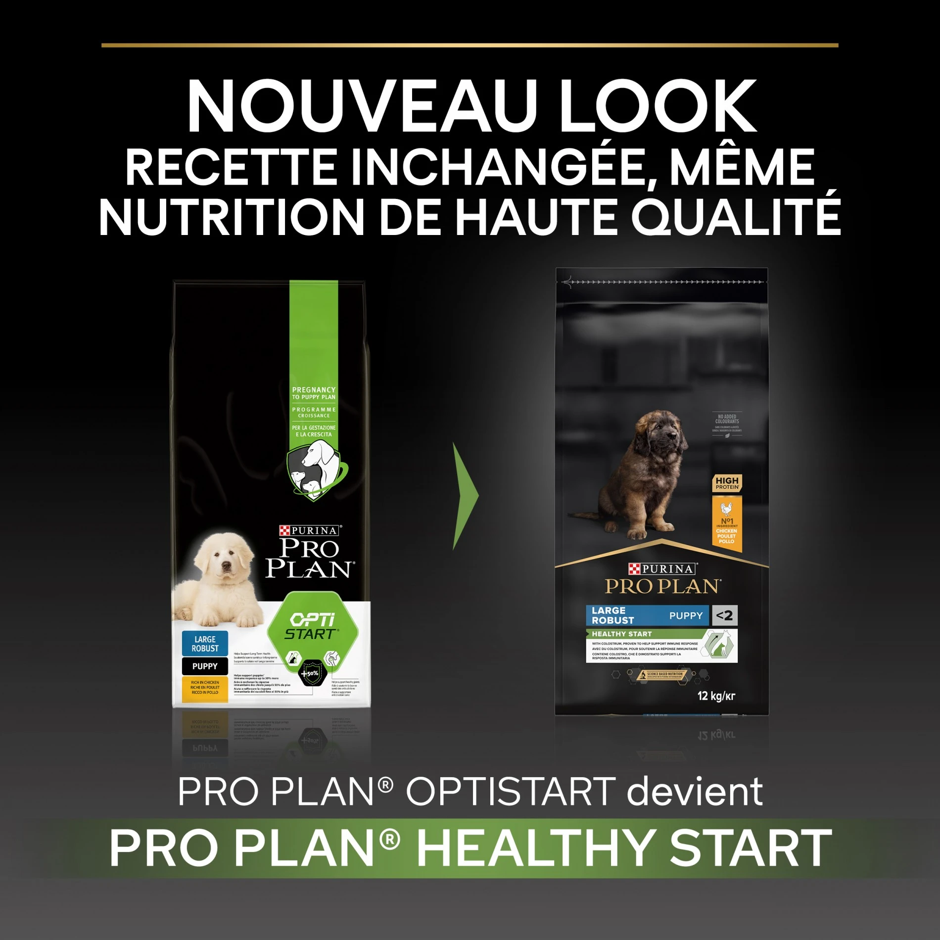 ProPlan PRO PLAN Healthy Start Large Robust Puppy Au Poulet - Croquettes Pour Chien – Image 3