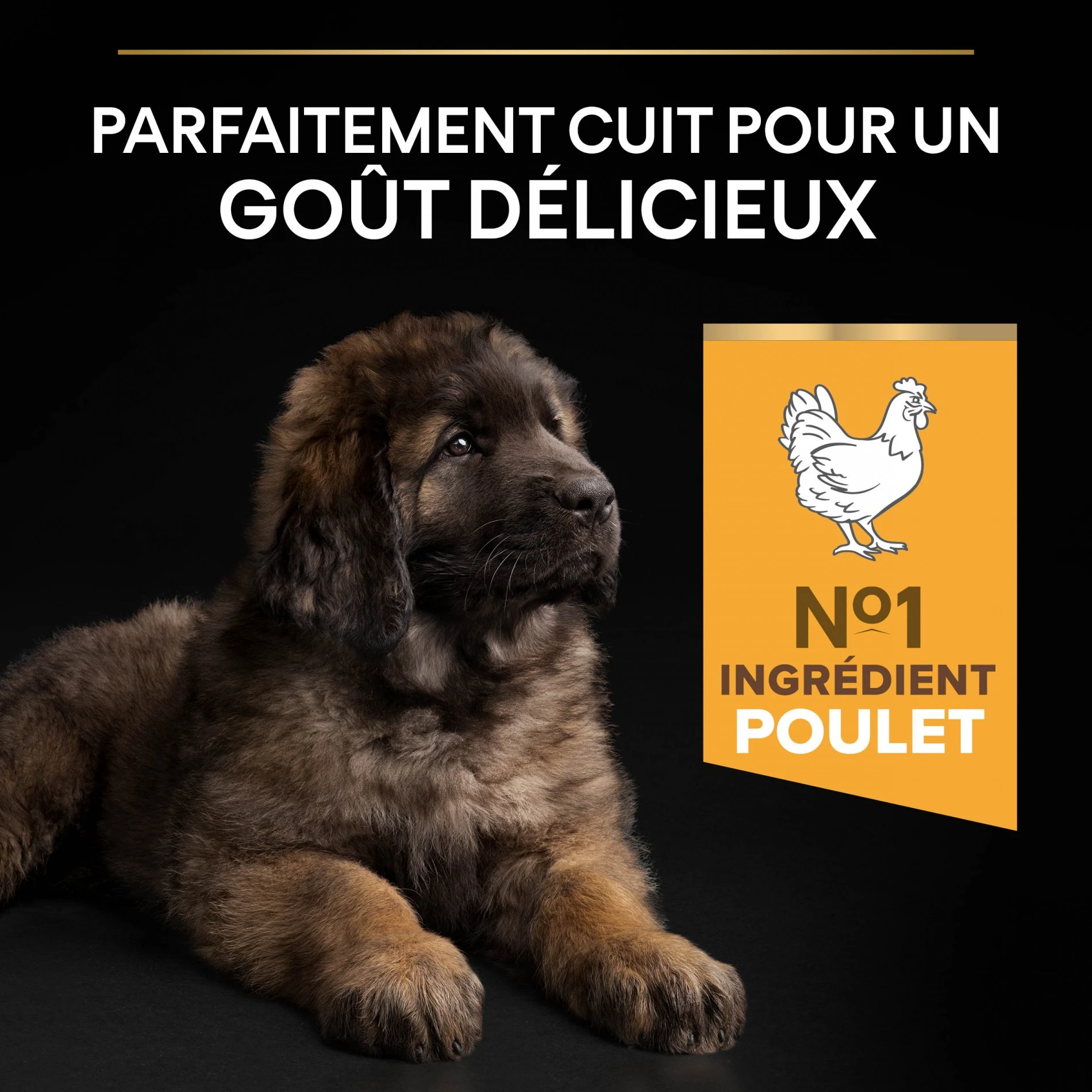 ProPlan PRO PLAN Healthy Start Large Robust Puppy Au Poulet - Croquettes Pour Chien – Image 4