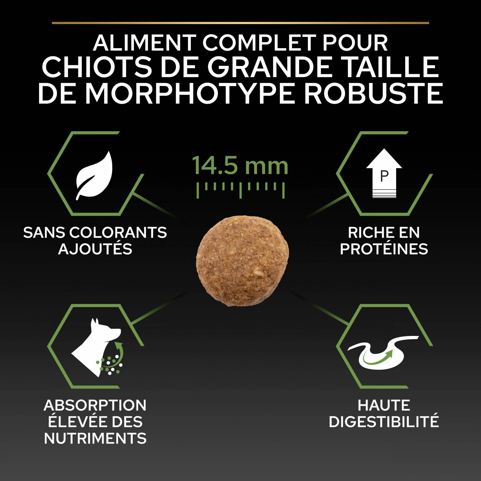 ProPlan PRO PLAN Healthy Start Large Robust Puppy Au Poulet - Croquettes Pour Chien – Image 5