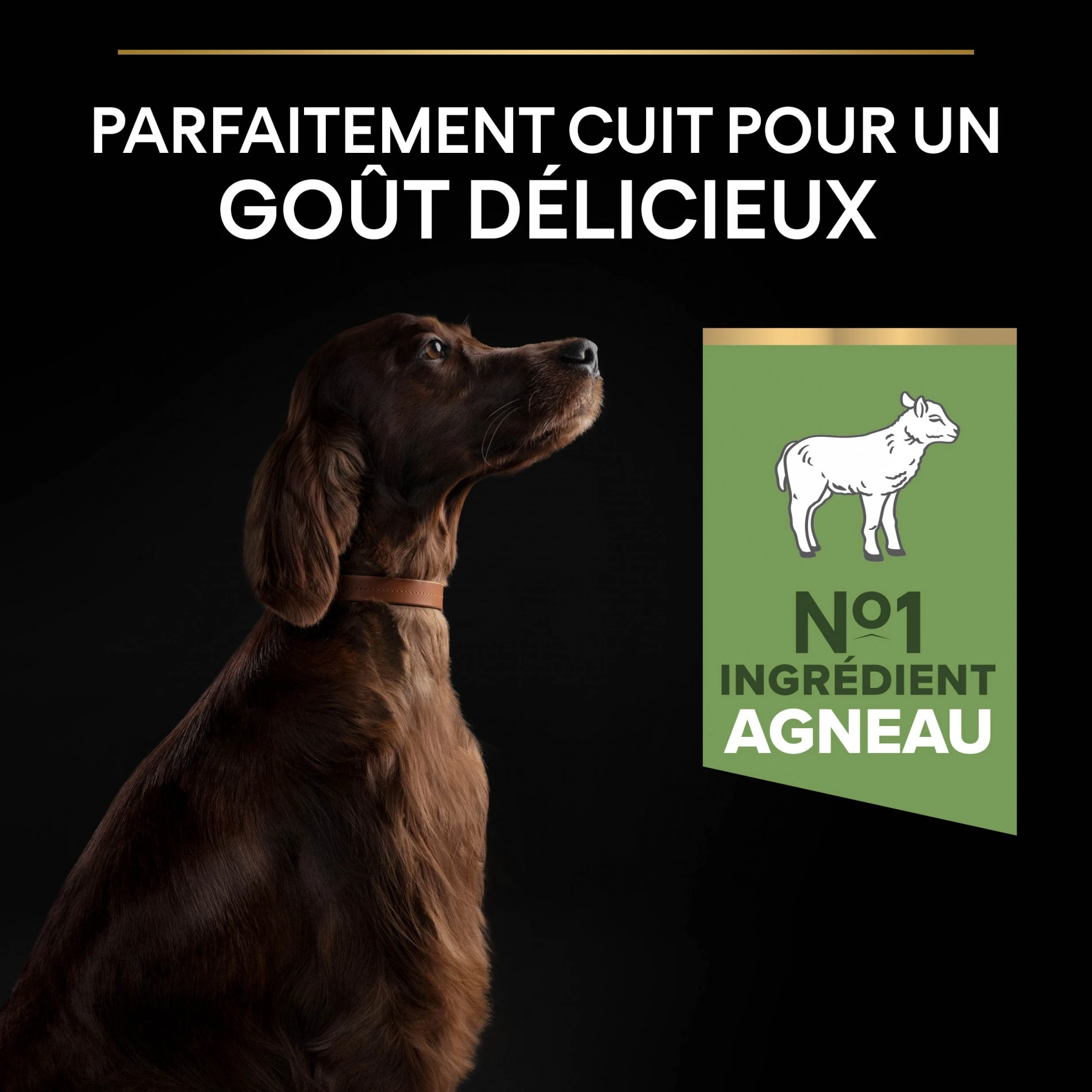 ProPlan PRO PLAN Sensitive Digestion Large Athletic Adult à La Agneau - Croquettes Pour Chien – Image 4